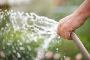 Over-watering near home's foundation