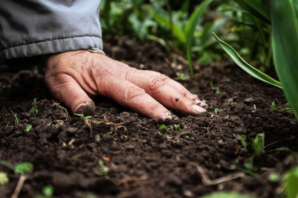 Clay soil Blackland soil