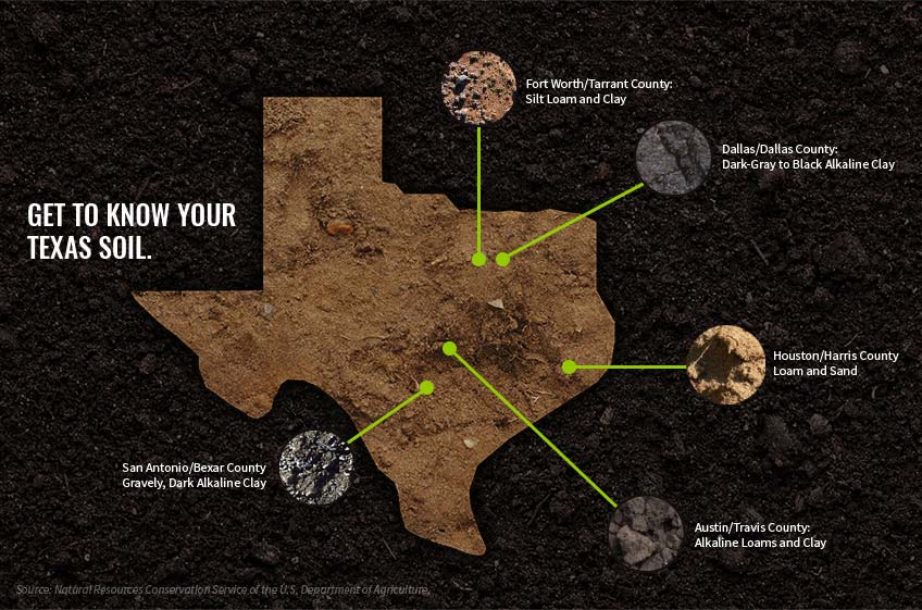 Clay soil Texas soil